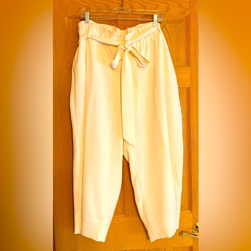 ELOQUII paperbag pants.